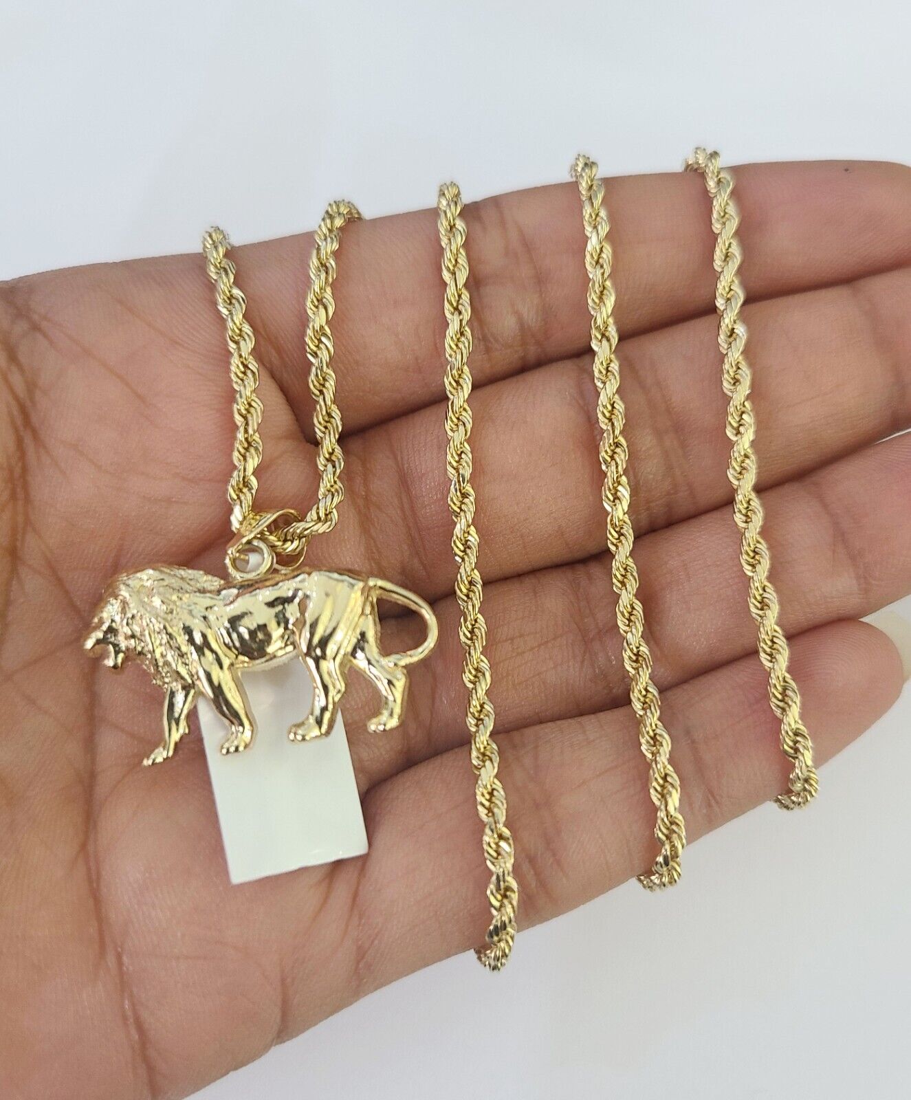 10k 2.5mm Rope Chain Lion Pendant 18"-30" Yellow Gold Set Charm Necklace